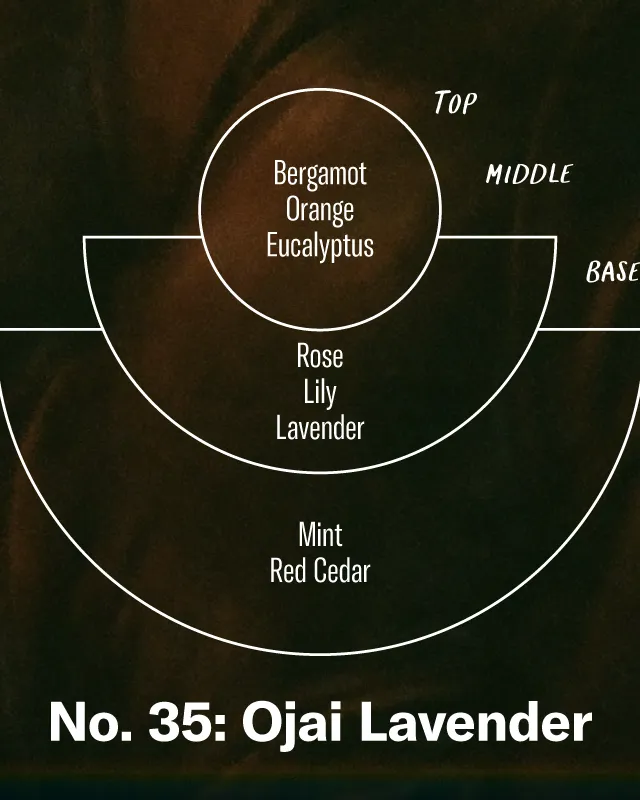 P.F. Candle Co. Incense Sticks - Ojai Lavender